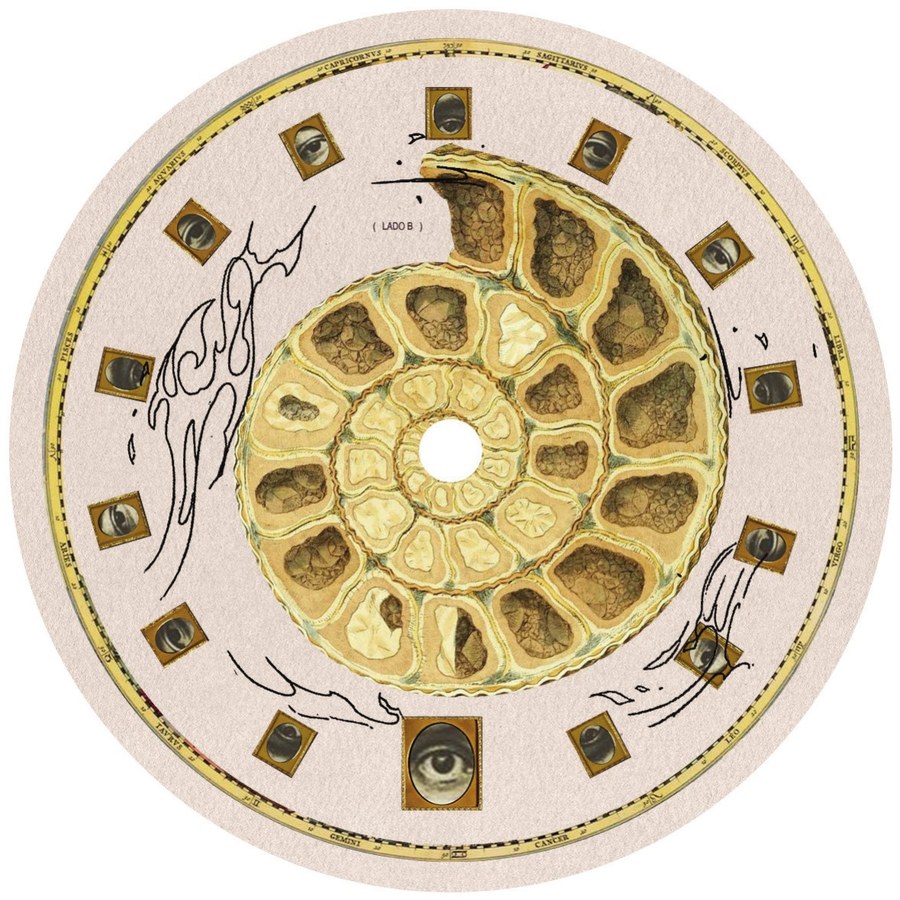 Selo do vinil Lado B — fundo creme com padrão dourado de fóssil/ammonite